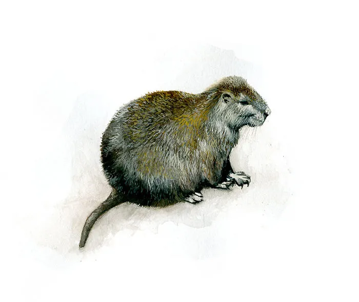 One Of My Realistic Painted Animals For Brno Zoo In The Czech Republic