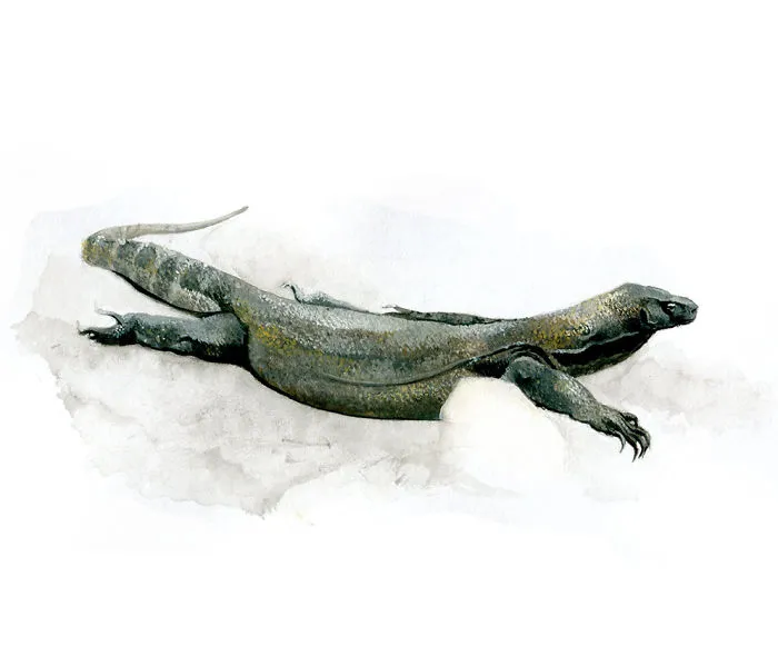 One Of My Realistic Painted Animals For Brno Zoo In The Czech Republic