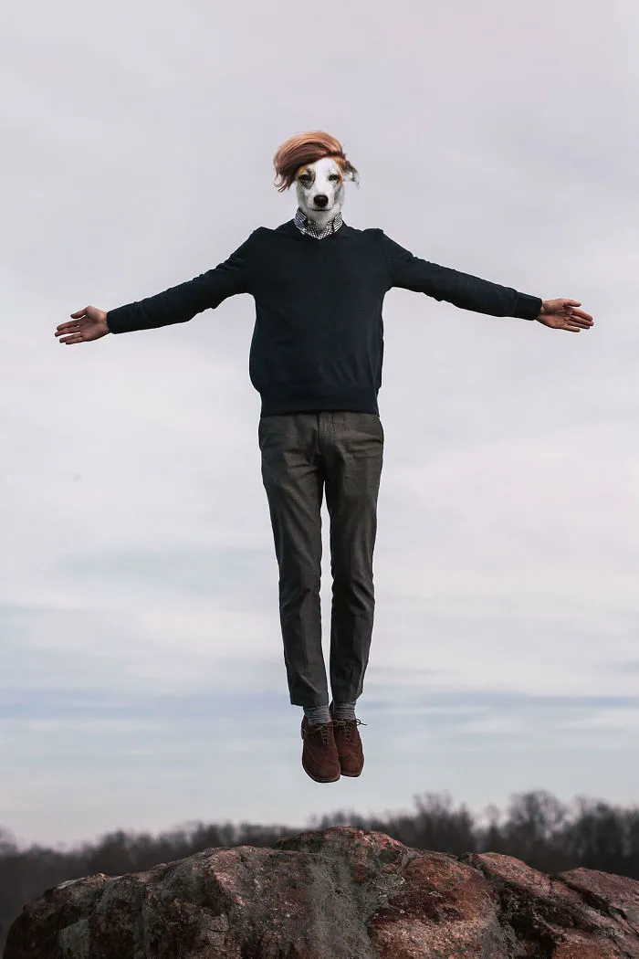 My Photo Editing Project “Anthropomorphism” That Humanizes Animals And Animalizes Humans (30 Pics)