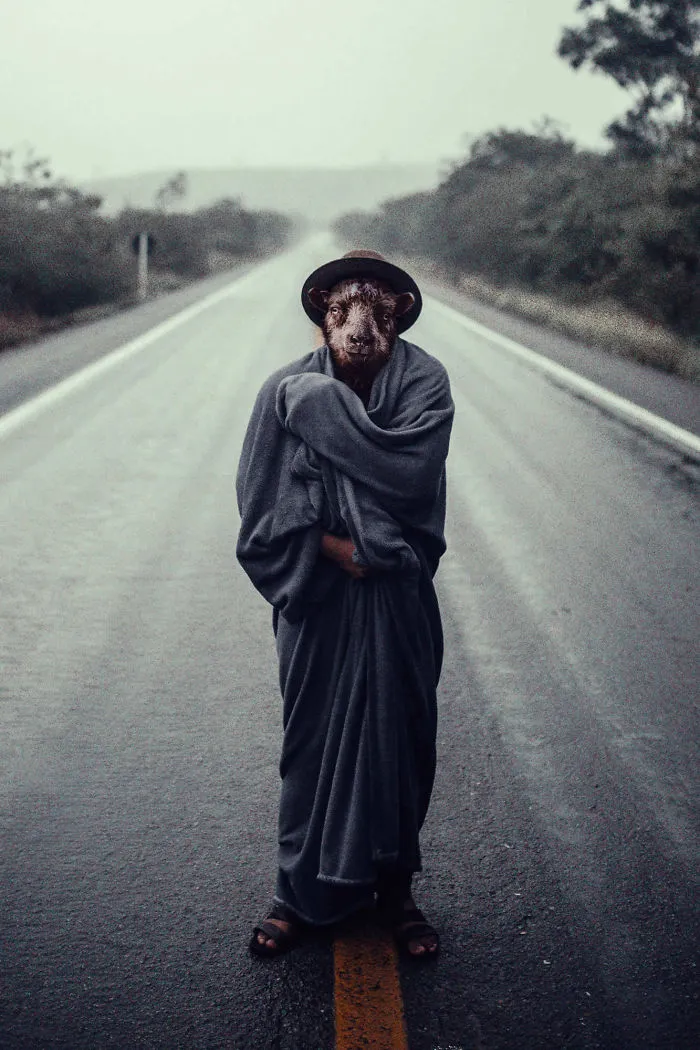 My Photo Editing Project “Anthropomorphism” That Humanizes Animals And Animalizes Humans (30 Pics)