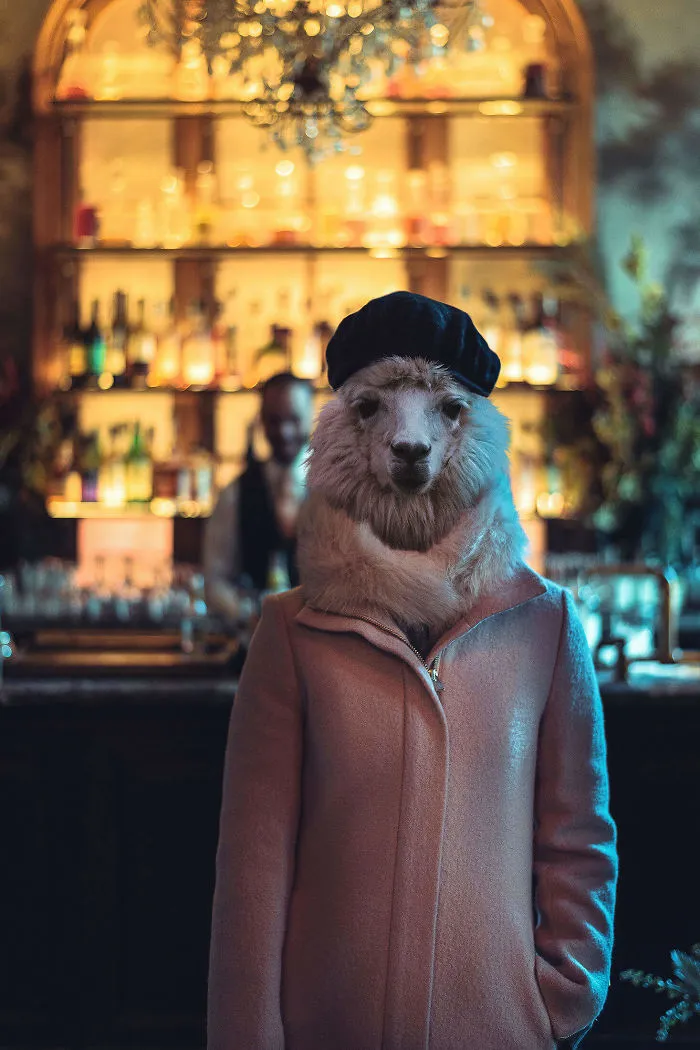 My Photo Editing Project “Anthropomorphism” That Humanizes Animals And Animalizes Humans (30 Pics)