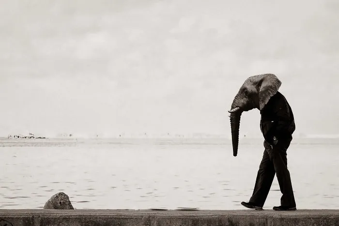 My Photo Editing Project “Anthropomorphism” That Humanizes Animals And Animalizes Humans (30 Pics)
