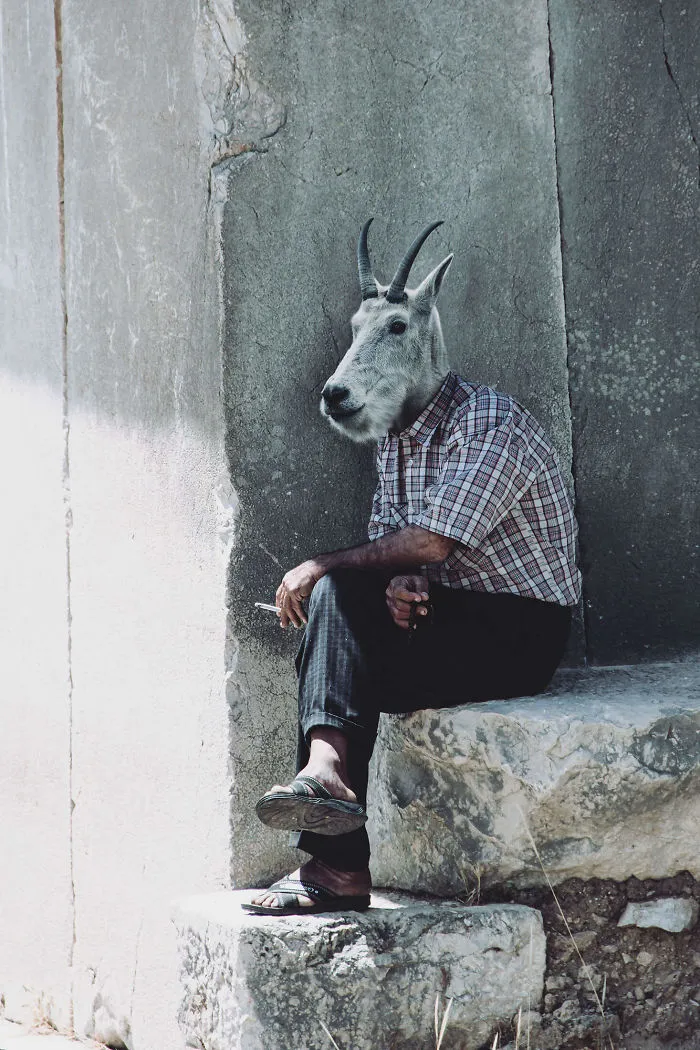 My Photo Editing Project “Anthropomorphism” That Humanizes Animals And Animalizes Humans (30 Pics)