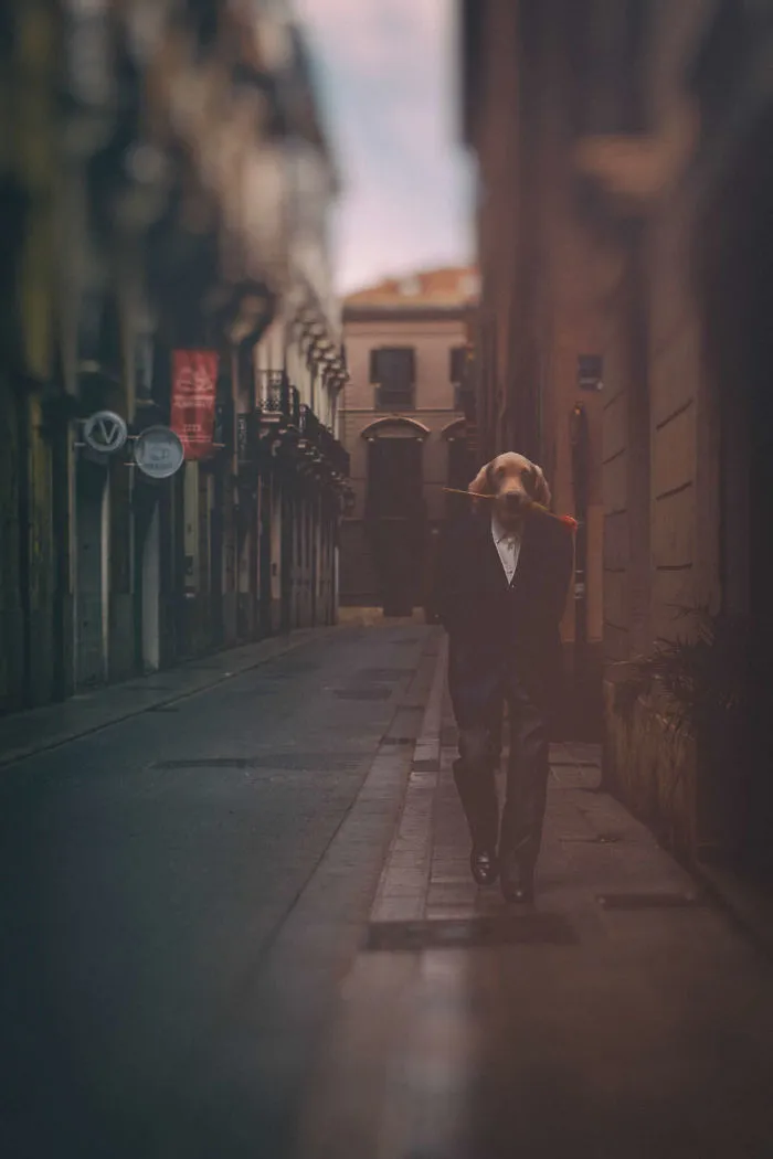 My Photo Editing Project “Anthropomorphism” That Humanizes Animals And Animalizes Humans (30 Pics)