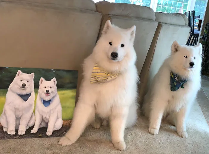 Aspen And Vail