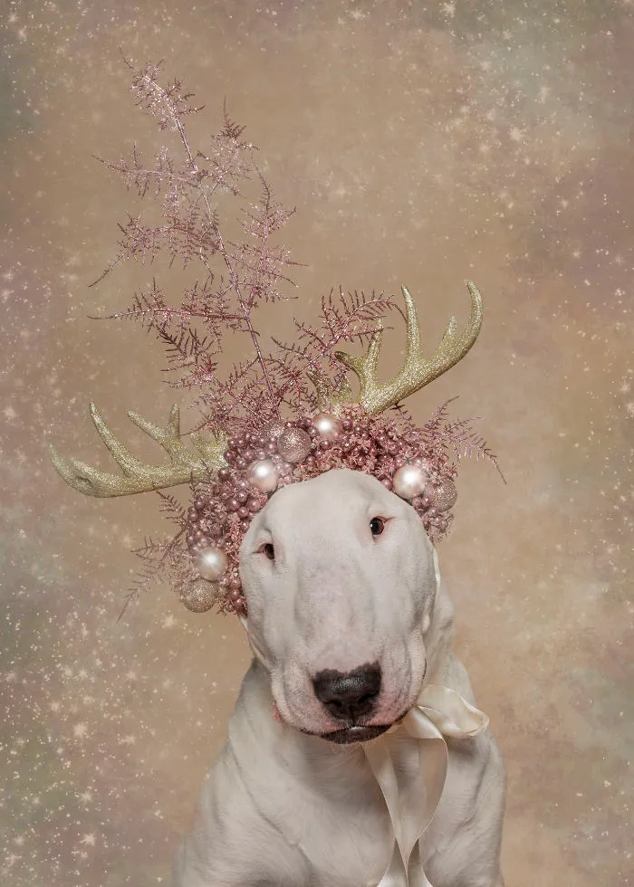 Astro