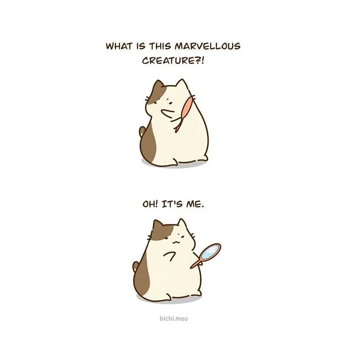30 Comics I Made That Every Cat Owner Might Relate To