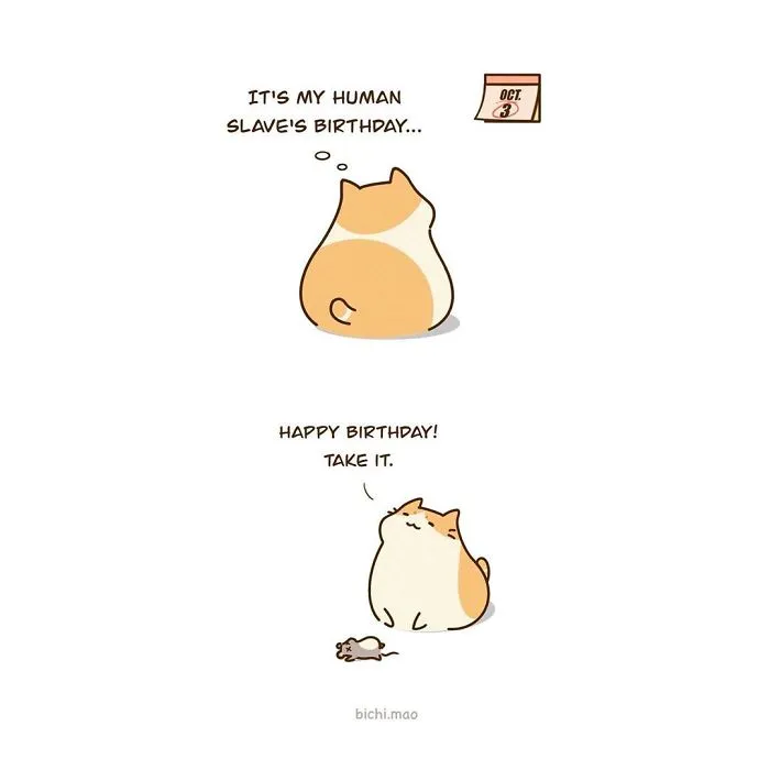 30 Comics I Made That Every Cat Owner Might Relate To