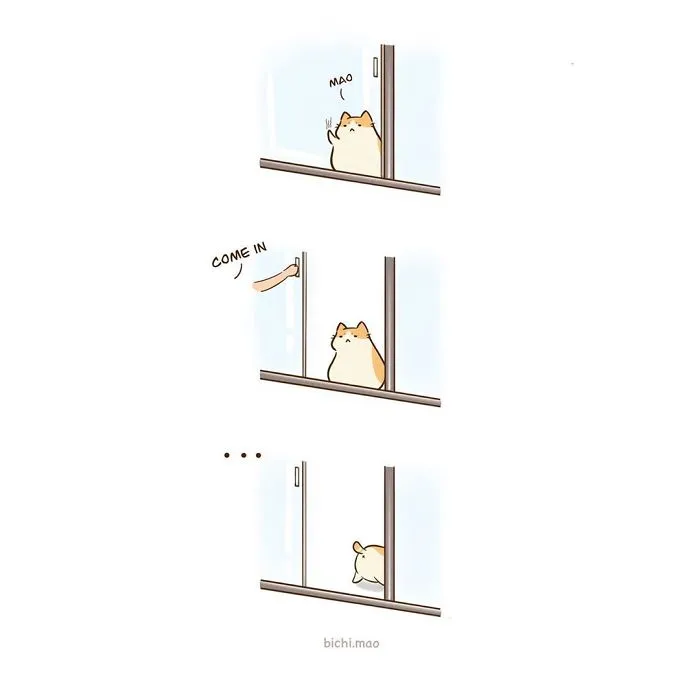 30 Comics I Made That Every Cat Owner Might Relate To