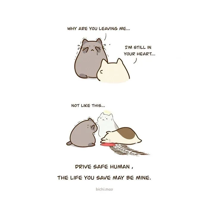 30 Comics I Made That Every Cat Owner Might Relate To