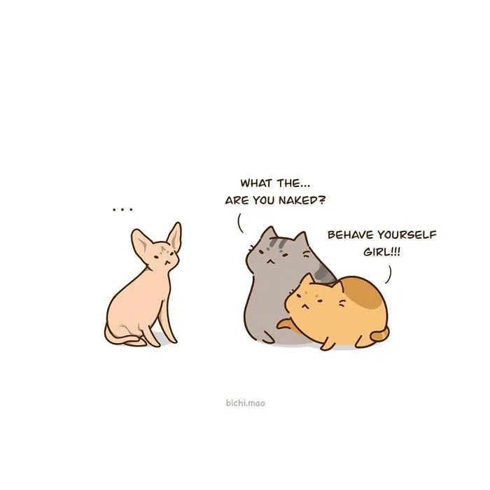30 Comics I Made That Every Cat Owner Might Relate To