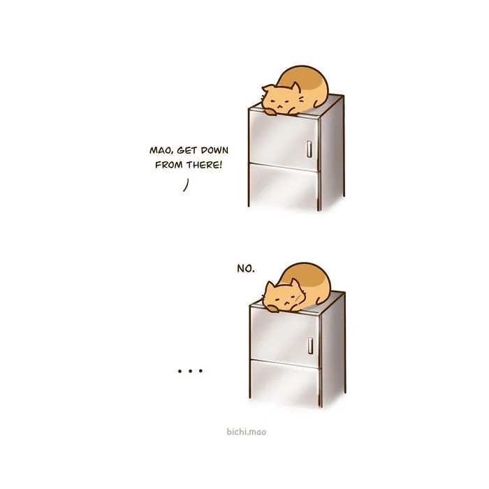 30 Comics I Made That Every Cat Owner Might Relate To
