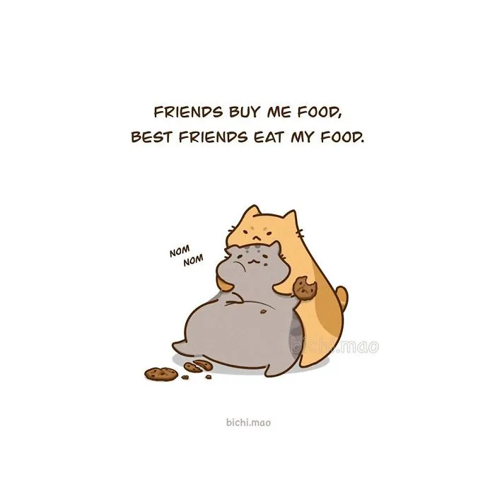 30 Comics I Made That Every Cat Owner Might Relate To