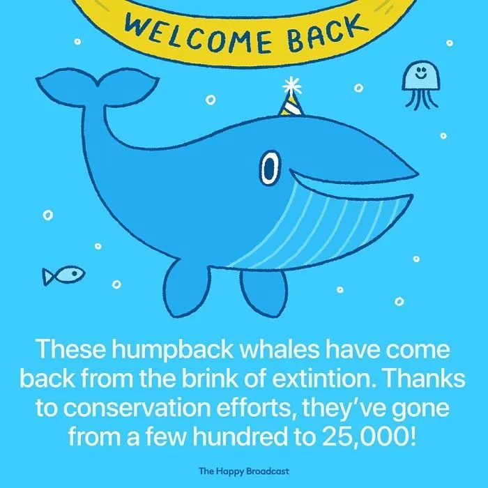 I’m Honestly Fed Up With All The Bad News, So I Illustrated 50 Of The Best Ones From 2019