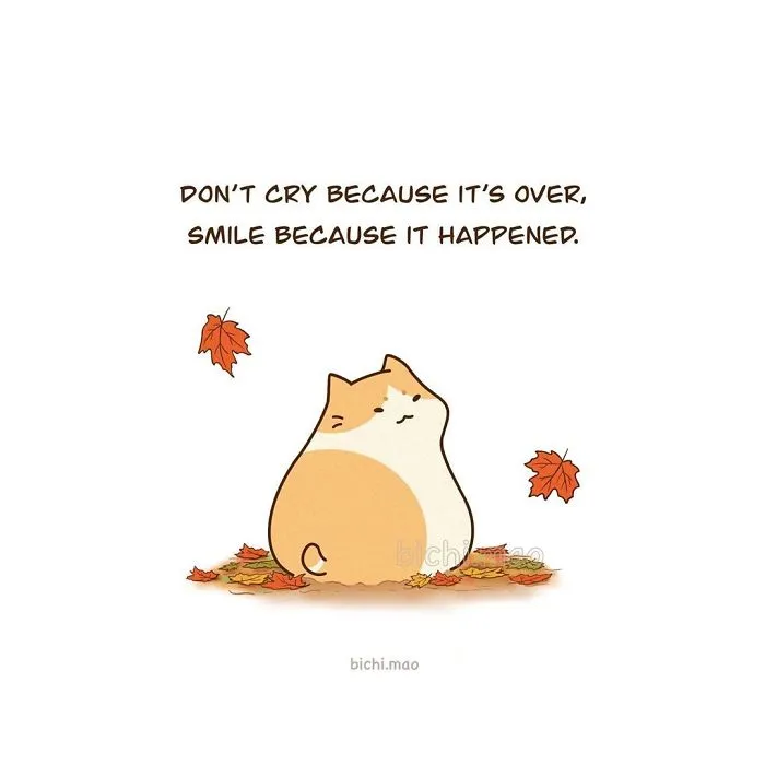 30 Comics I Made That Every Cat Owner Might Relate To