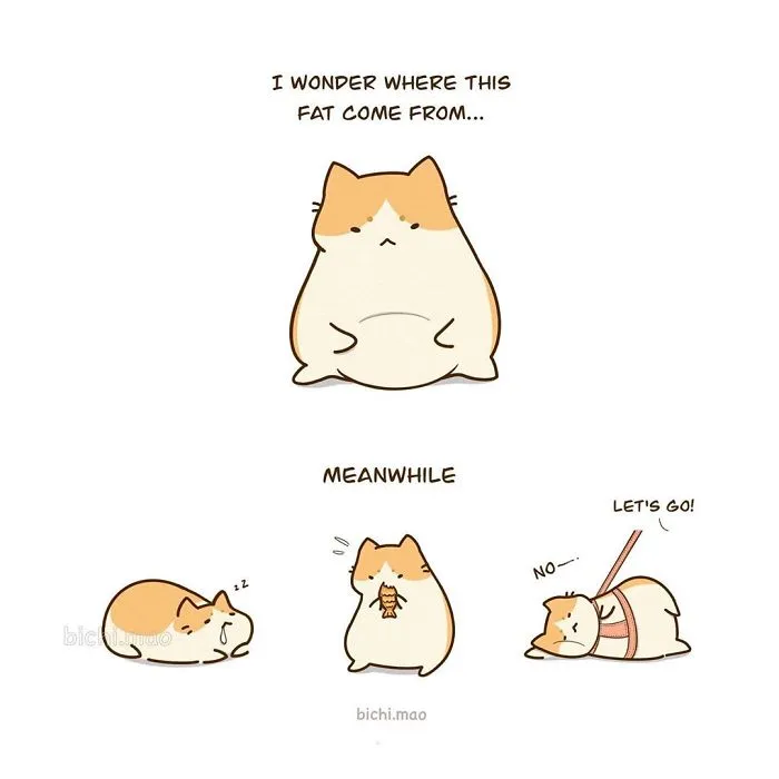 30 Comics I Made That Every Cat Owner Might Relate To