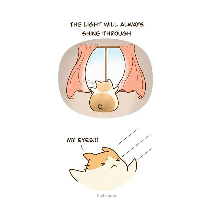 30 Comics I Made That Every Cat Owner Might Relate To