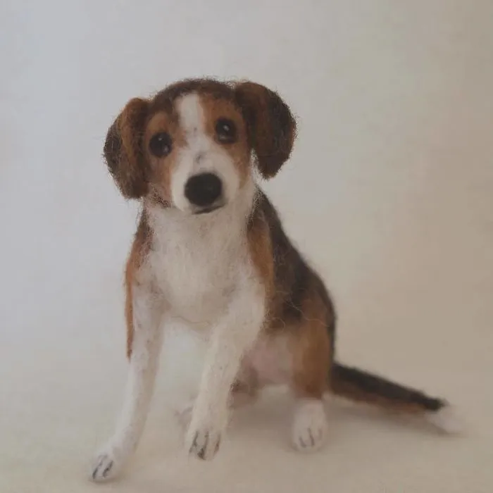 I Bring Wool To Life In Needle Felt Wildlife