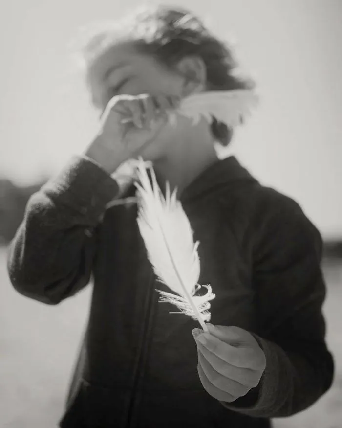 Gull Feathers