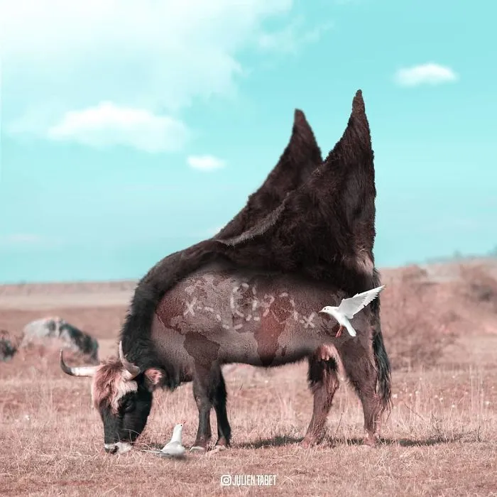 Here’s How I Imagine Animals Behave When You Aren’t Looking (25 New Pics)