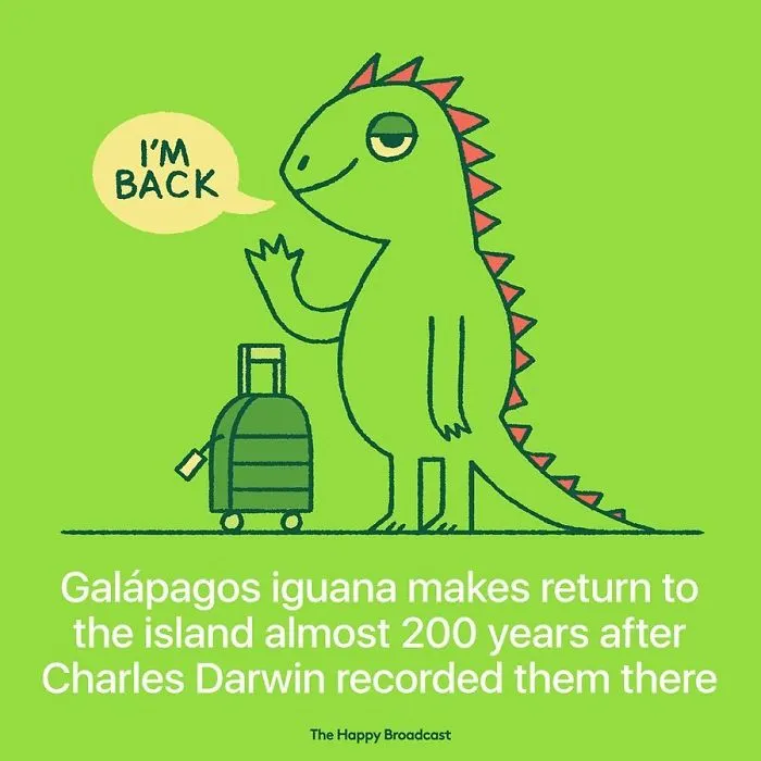 I’m Honestly Fed Up With All The Bad News, So I Illustrated 50 Of The Best Ones From 2019