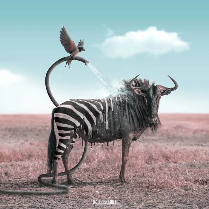 Here’s How I Imagine Animals Behave When You Aren’t Looking (25 New Pics)
