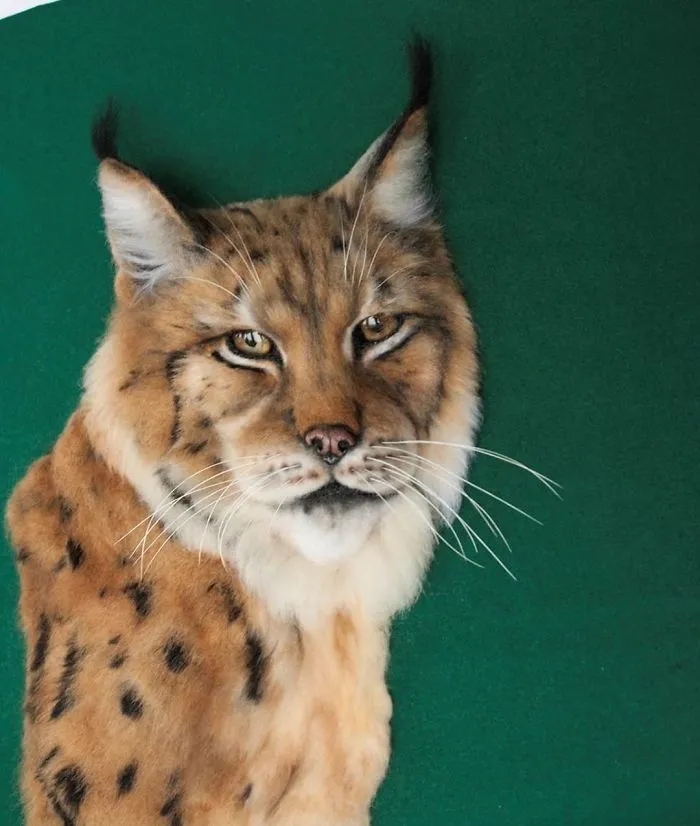 I Create Realistic Pet Portraits From Felted Wool