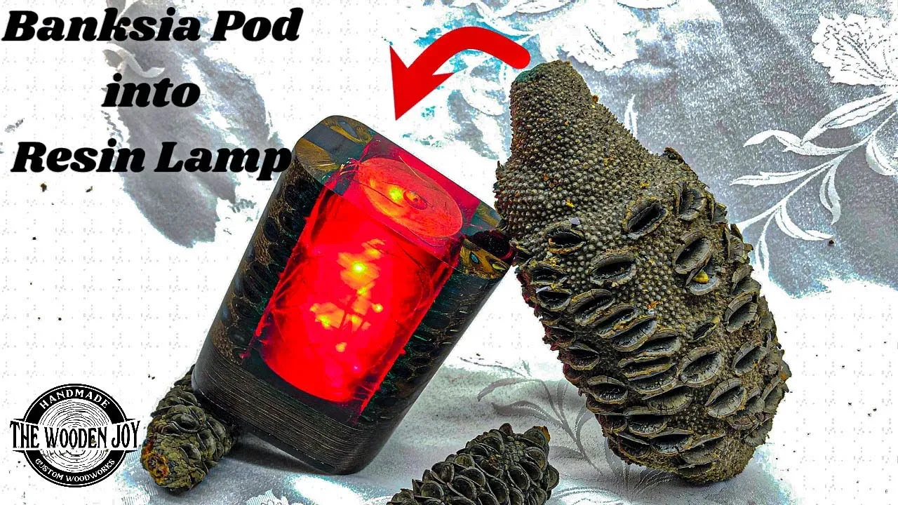 Banksia Pod And Resin Lamp