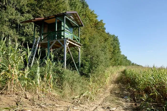 My 56 Pics Of Unusual Gamekeeper's Hides