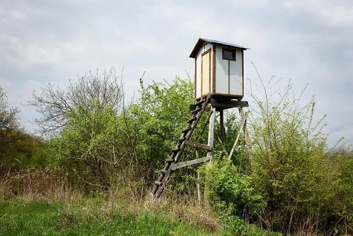 My 56 Pics Of Unusual Gamekeeper's Hides