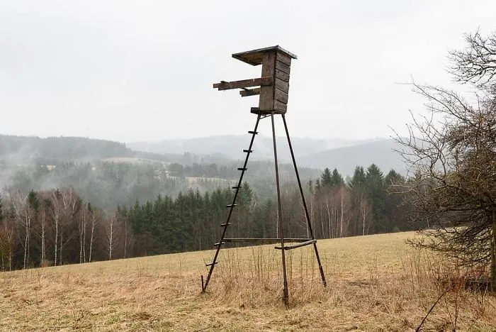 My 56 Pics Of Unusual Gamekeeper's Hides