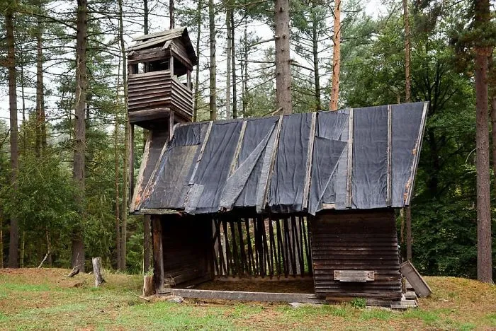 My 56 Pics Of Unusual Gamekeeper's Hides