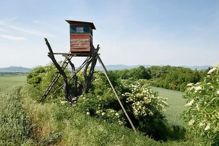 My 56 Pics Of Unusual Gamekeeper's Hides
