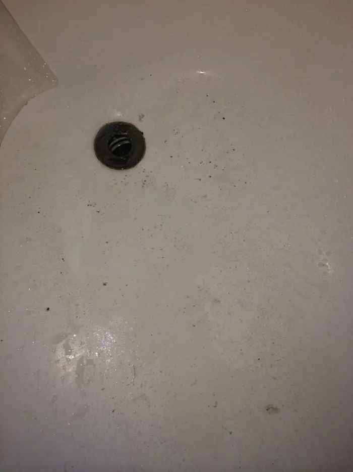 That Came Out Of The Shower