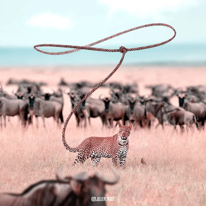 Here’s How I Imagine Animals Behave When You Aren’t Looking (25 New Pics)