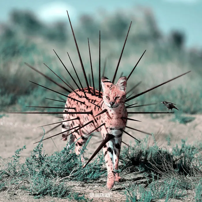 Here’s How I Imagine Animals Behave When You Aren’t Looking (25 New Pics)
