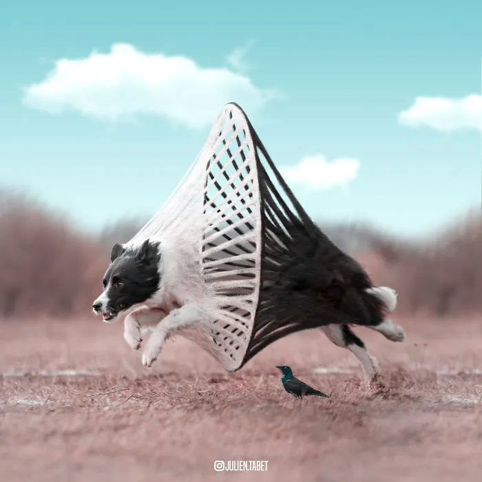 Here’s How I Imagine Animals Behave When You Aren’t Looking (25 New Pics)