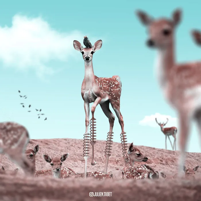 Here’s How I Imagine Animals Behave When You Aren’t Looking (25 New Pics)