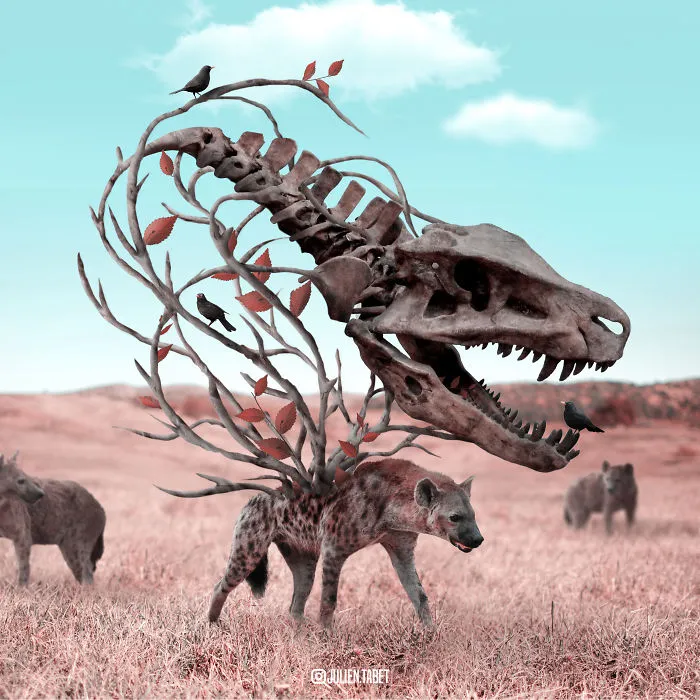 Here’s How I Imagine Animals Behave When You Aren’t Looking (25 New Pics)