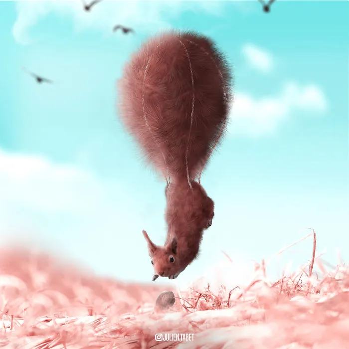Here’s How I Imagine Animals Behave When You Aren’t Looking (25 New Pics)