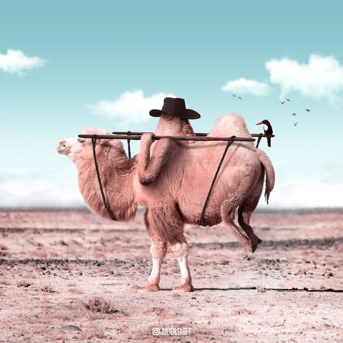 Here’s How I Imagine Animals Behave When You Aren’t Looking (25 New Pics)