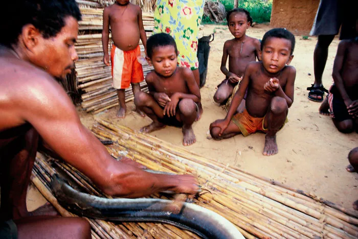 Family Of Fishermen