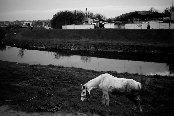 My 40 Photos Of Serbia