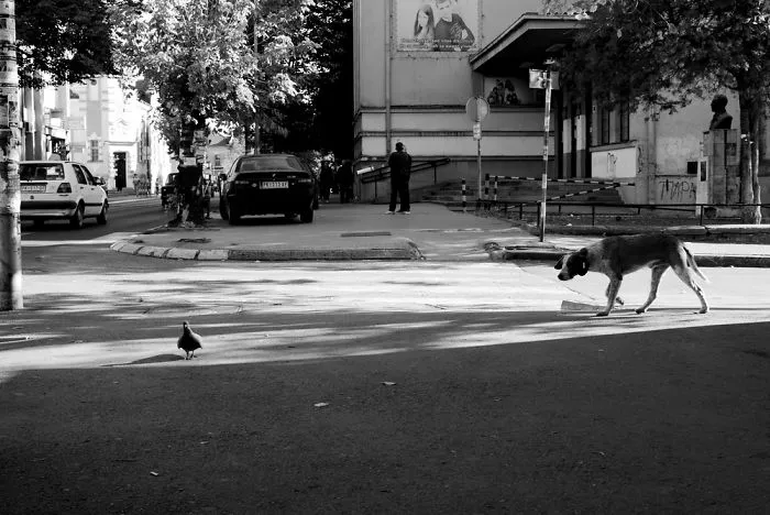 My 40 Photos Of Serbia
