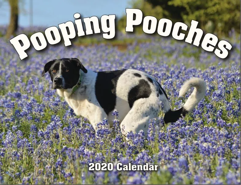2020 Is Going To Be The Shit If You Have This Calendar... And It Supports A Good Cause!