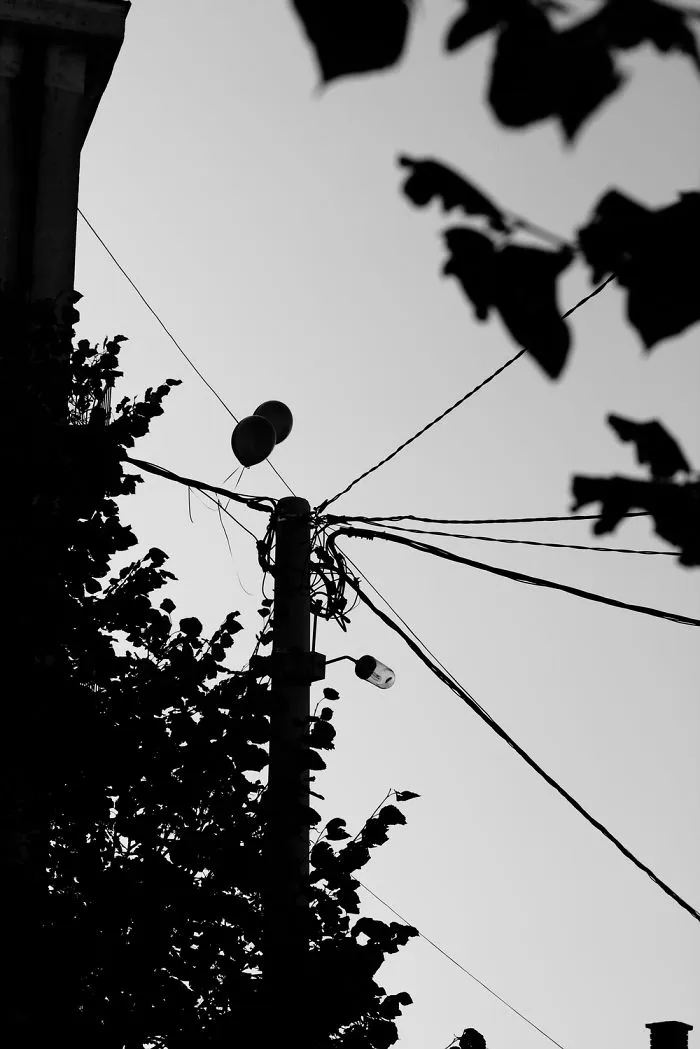 My 40 Photos Of Serbia