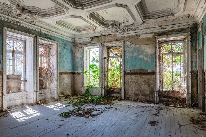 Nature Takes Back (Portugal)