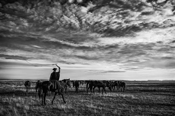 The Life Of The Traditional Shepherds Of Rural Hungary - Guardians Of The Past