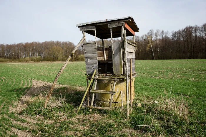 My 56 Pics Of Unusual Gamekeeper's Hides