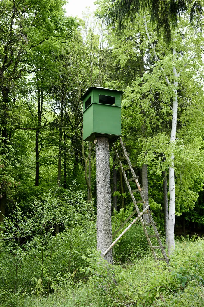 My 56 Pics Of Unusual Gamekeeper's Hides